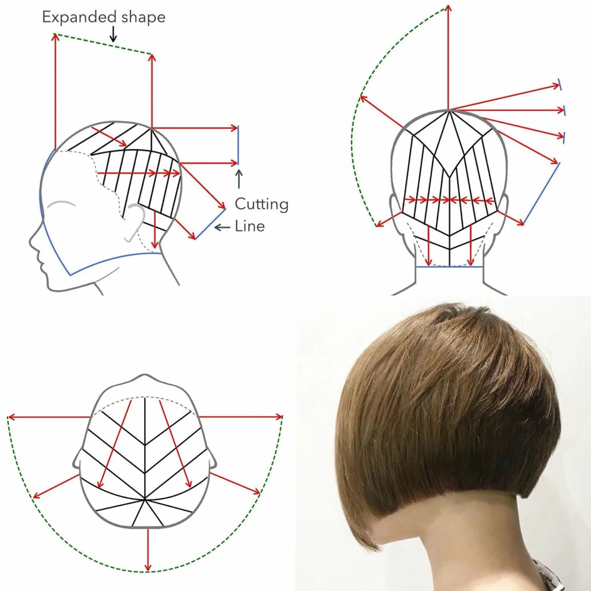 Боб каре схема. Схема стрижки Боб каре градуированное. Боб каре схема выполнения стрижки. Стрижка Боб-каре на короткие волосы схема стрижки. Схема стрижки сессон.