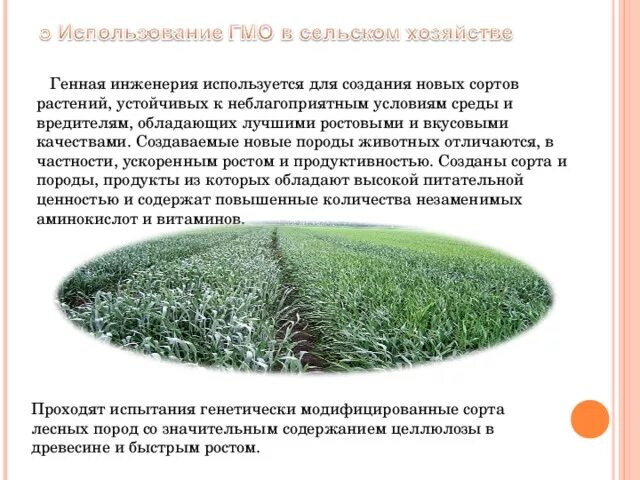 Генная инженерия используется для. Генная инженерия используется для
