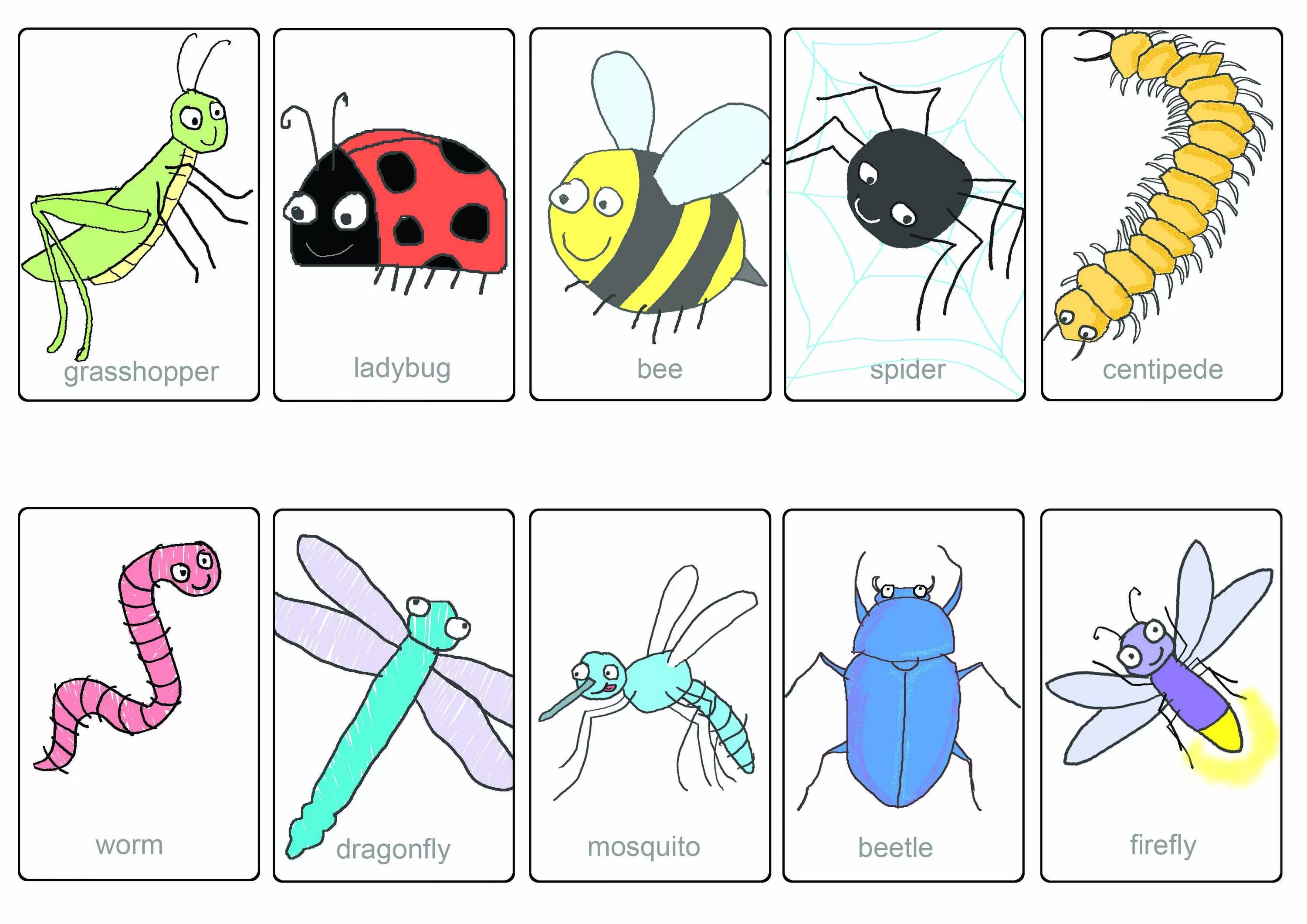 Насекомые на английском для детей. Карточки на английском насекомые. Карточки насекомых для дошкольников. Насекомые для дошкольников. Жук на английском языке