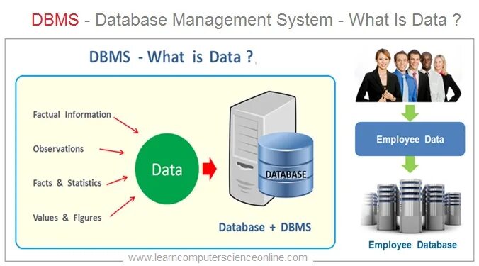 Database is closed. What is database. learn db картинки по прохождению. nmse in db.