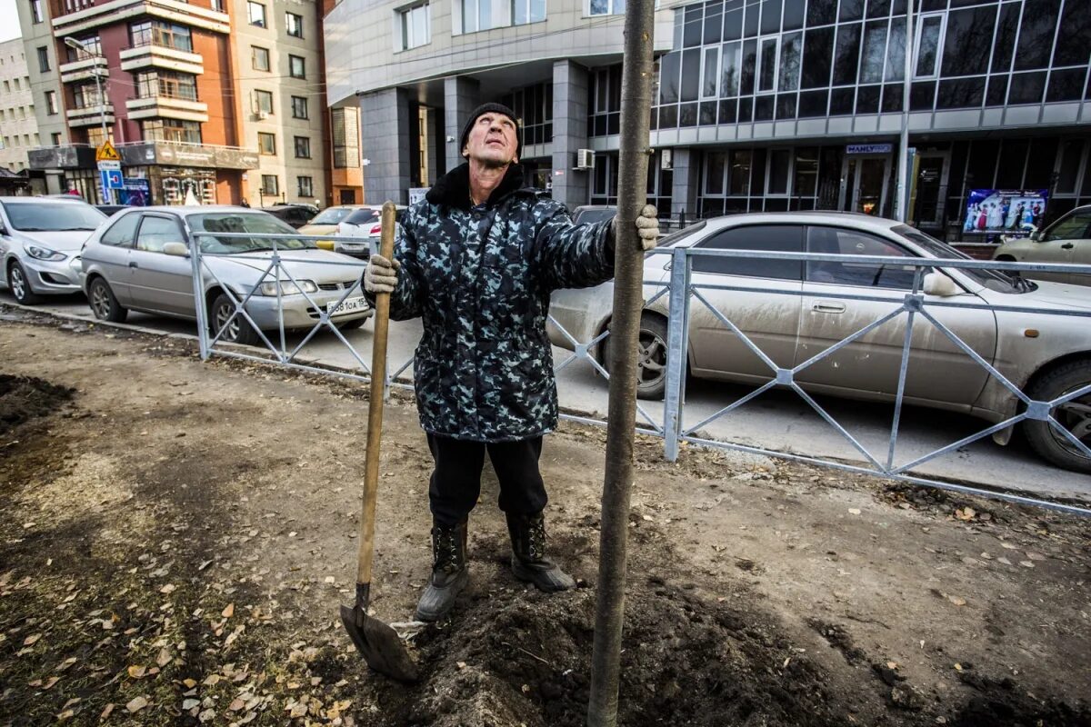 В парке при музее решили разбить