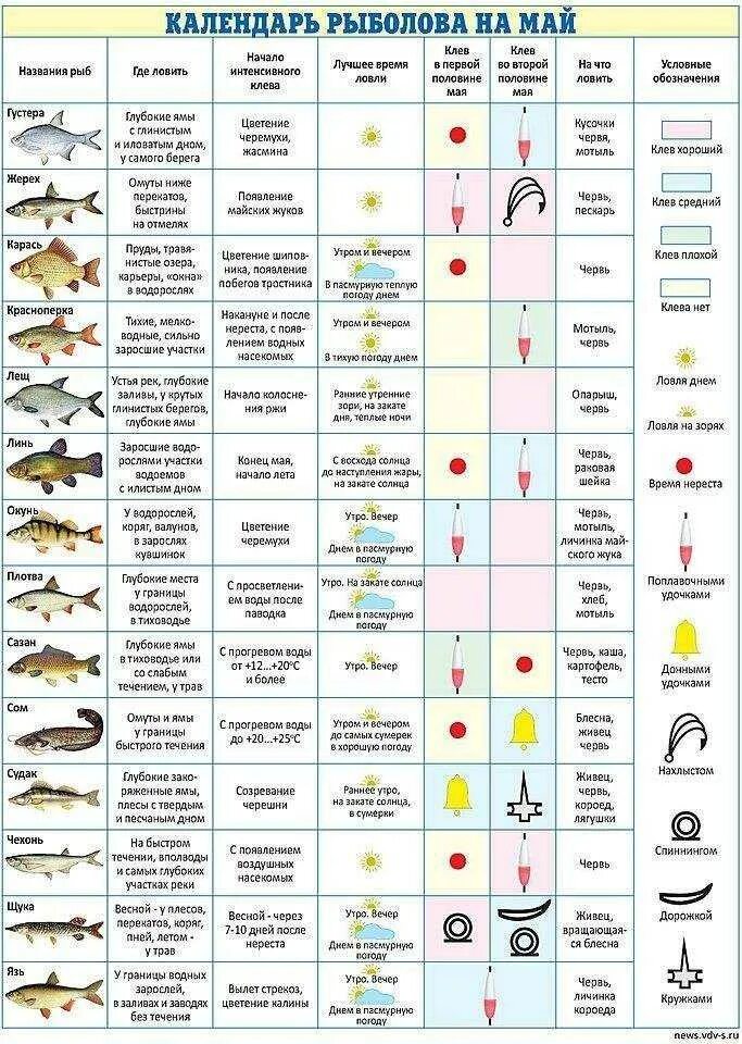 Можно ли ловить спиннингом в нерестовый запрет. Таблица клева карася. Таблица наживок для рыбалки. Календарь рыбака. Лунный календарь рыболова.