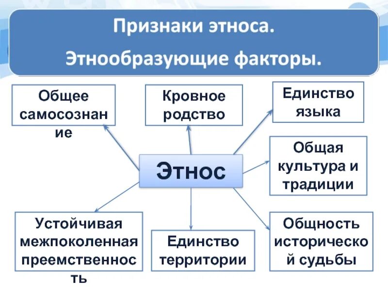 Что является общей культурой человека