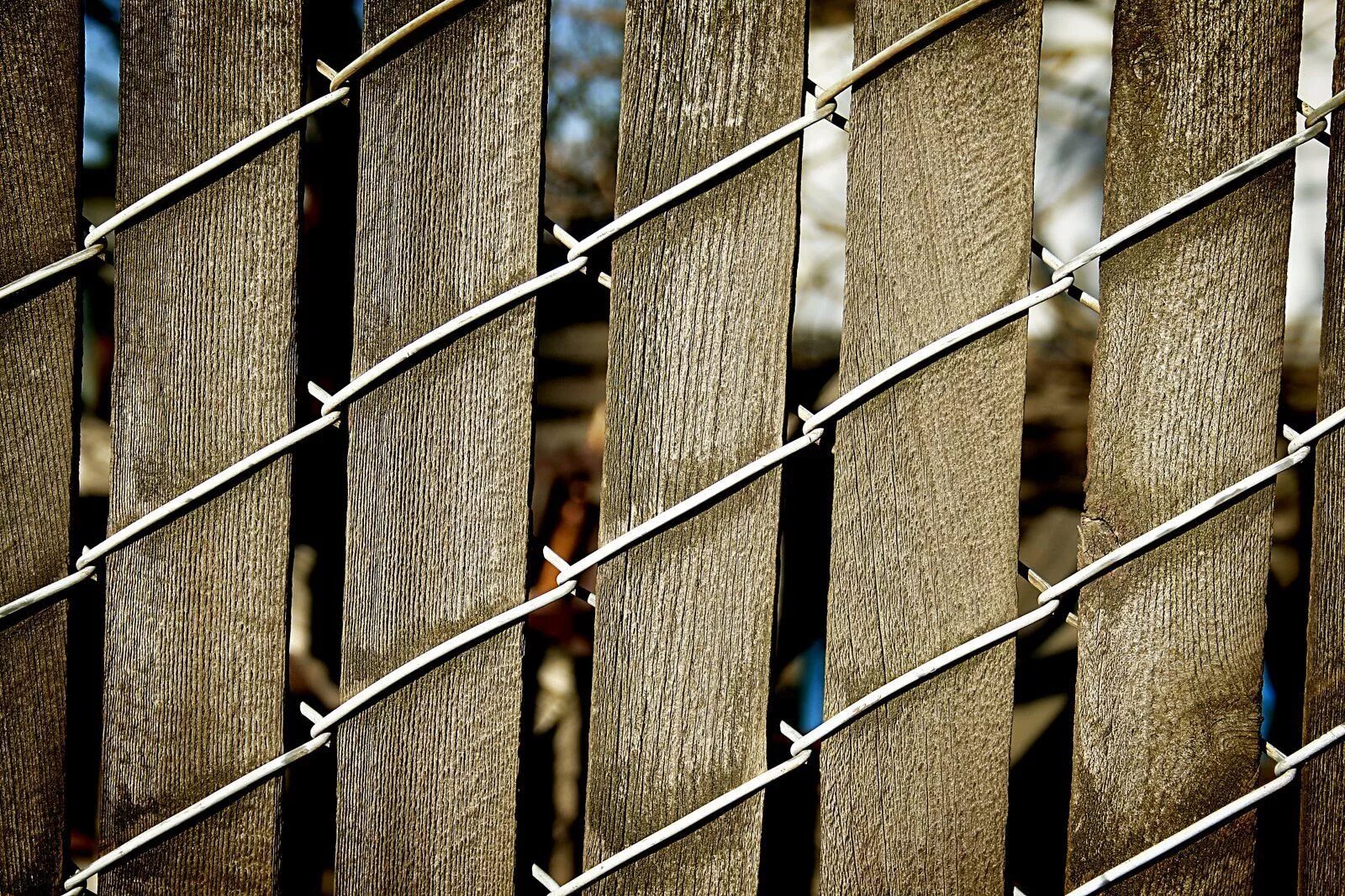 Купить декоративную сетку для забора. Забор с сетки рабицы. Сетка для изгороди. Забор сетка с рейками. Красивый забор из сетки.