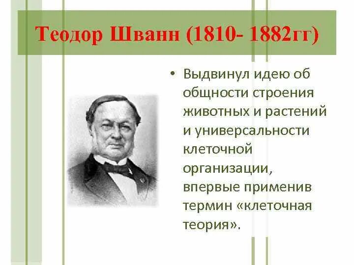 Т шванн сформулировал. Теодор шванн (1810-1882). немецкий зоолог теодор шванн.. теодор шванн немецкий врач. теодор шванн биография.