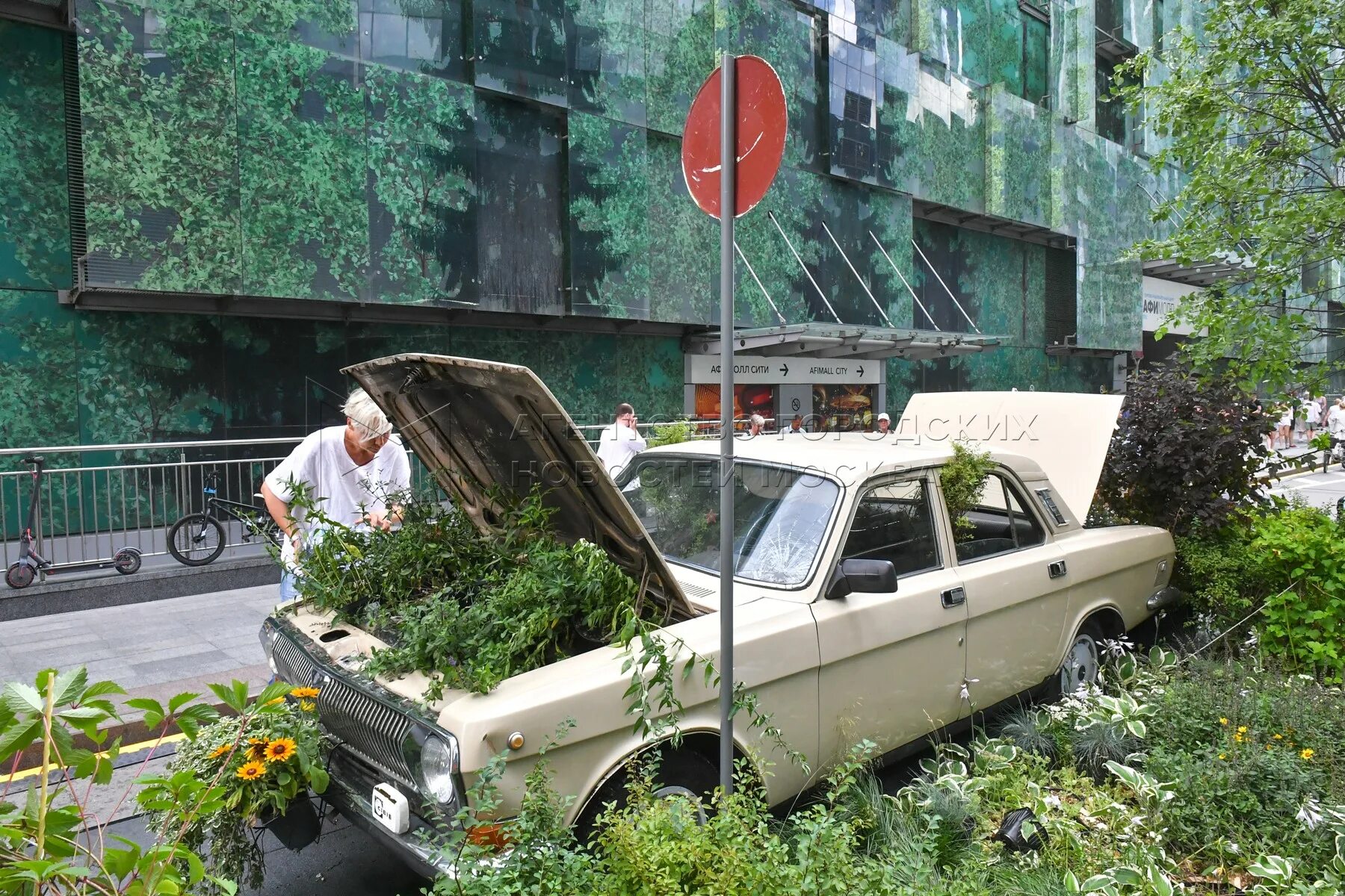 Лето в москве 2024 фестиваль площадки. Цветочный фестиваль в москве. Цветочный джем 2024 москва. Цветочный фестиваль в москве. Лето в москве.