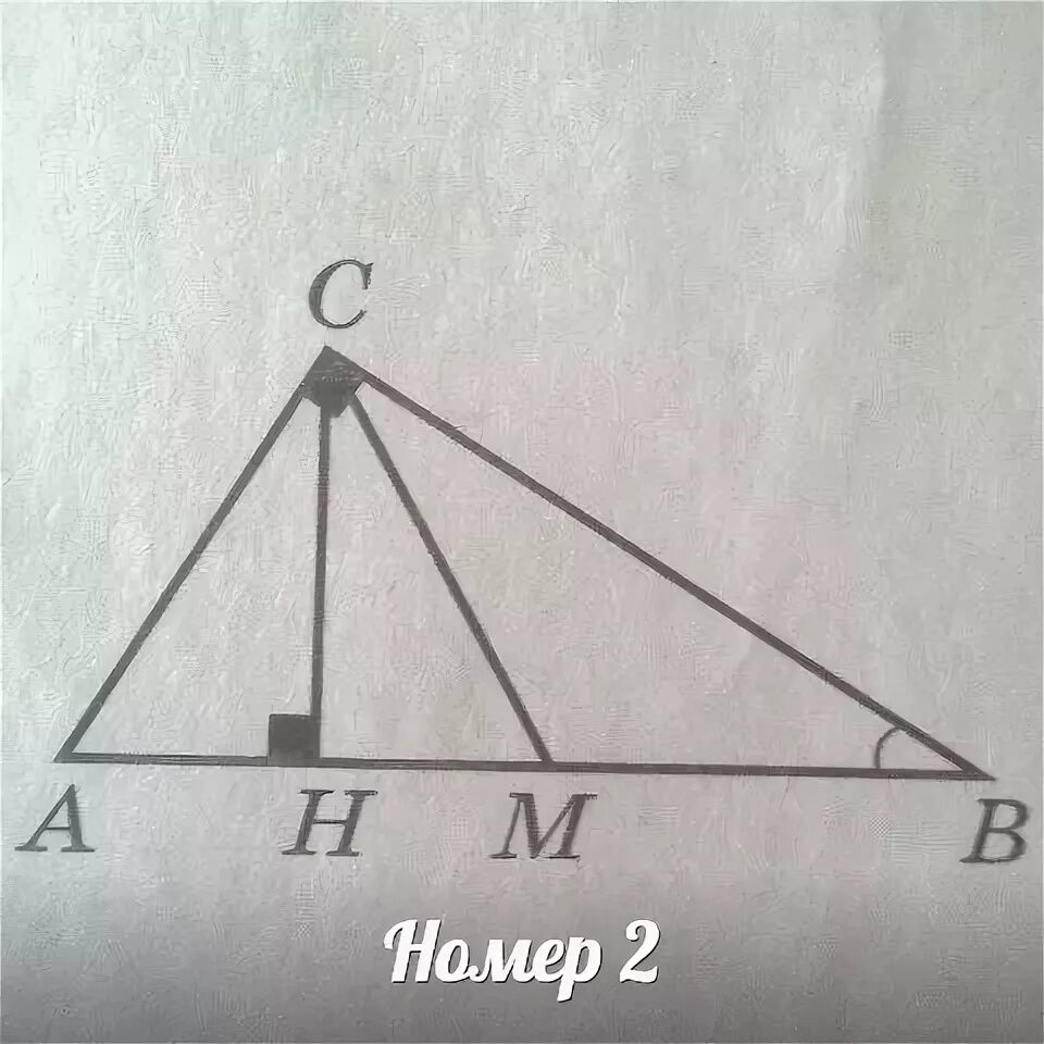 Вн высота авс равнобедренный