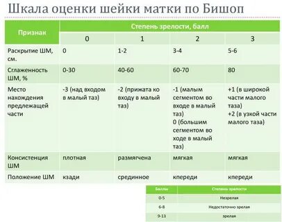 Шкала бишопа зрелость