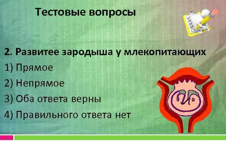 Размножение и развитие млекопитающих тест 7 класс. Развитие зародыша у млекопитающих. зародыш млекопитающего егэ. развитие зародыша у млекопитающих прямое или непрямое. размножение млекопитающих.