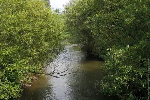 Земли вдоль реки