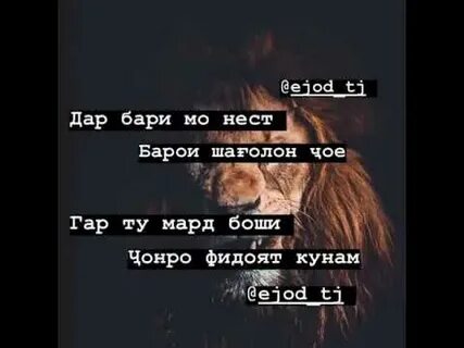 Песня мард