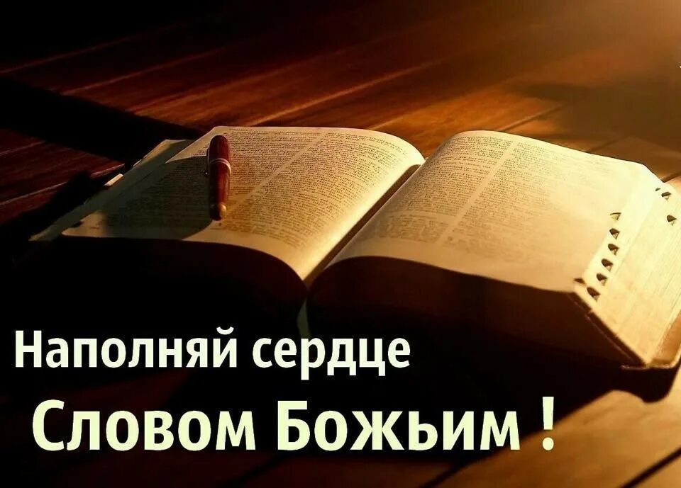 Библия слово Божье. Чтение слова Божьего. Изучайте слово Божие. Слова Божьи из Библии. Слово божье книга