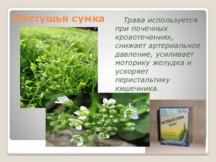 Для чего используется трава