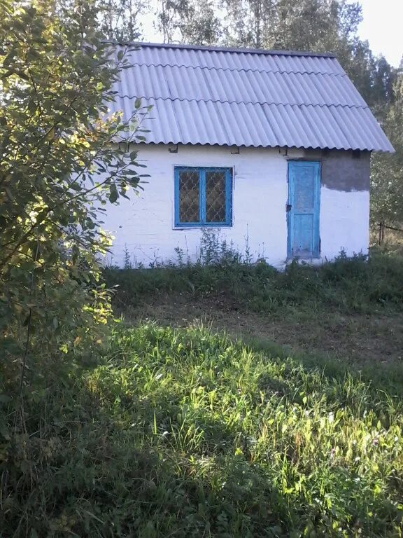 Садовое общество Родничок Ачинск. Дачи Ачинск роднички. Родничок на даче. Родничок ачинск