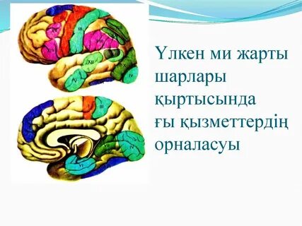 Әже жас жігітпен жыныстық қатынасқа түскен (видео)