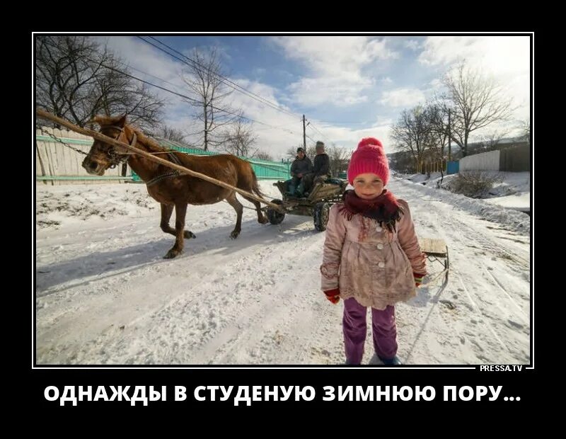 Однажды в студеную зимнюю пору стихотворение автор. Однажды в студеную зимнюю пору. однажды в студёную зимнюю. однажды в студеную. лошадка в студеную зимнюю.