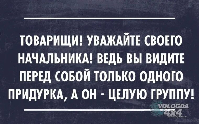 Фразы про начальника. Фразы про начальство. Смешные фразы про начальника. Прикольные фразы про начальника.