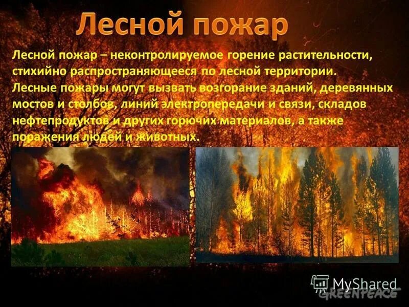 признаки возникновения лесного пожара. после лесного пожара. неконтролируемые лесные пожары. пожароопасный лес. природные пожары.