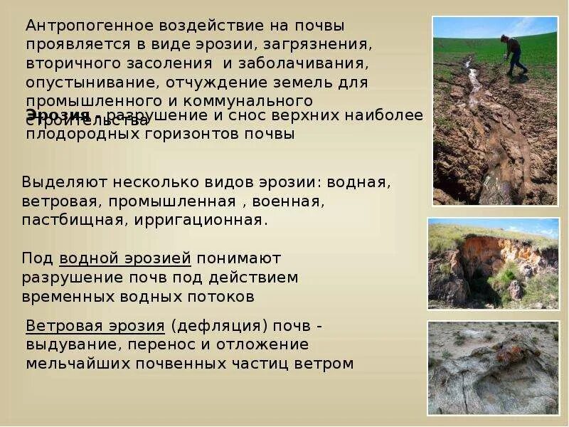 Значение почвенных ресурсов в деятельности человека