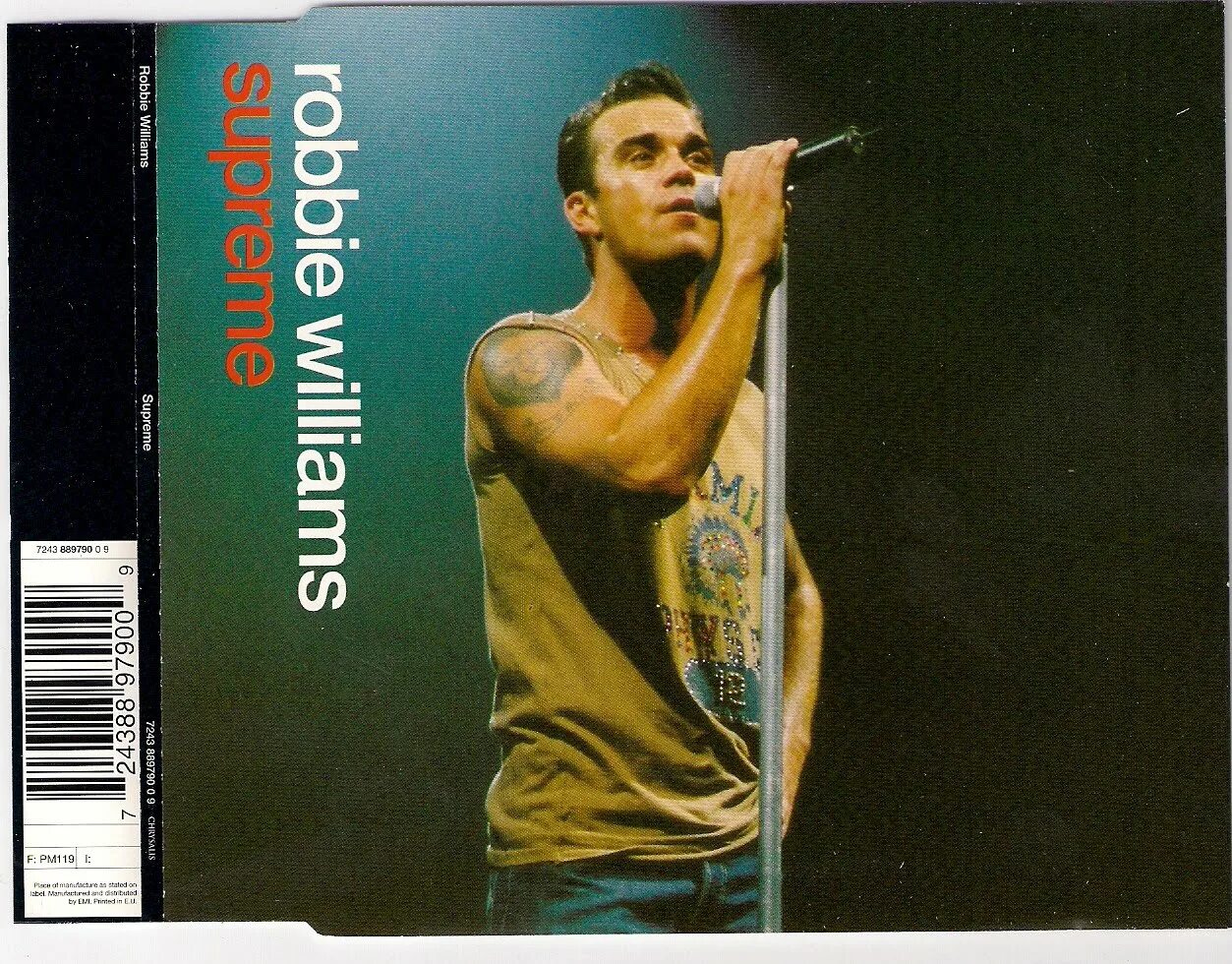 Robbie williams supreme перевод. Robbie Williams 2001. Робби Уильямс 2000. Rudebox Robbie Williams обложка.