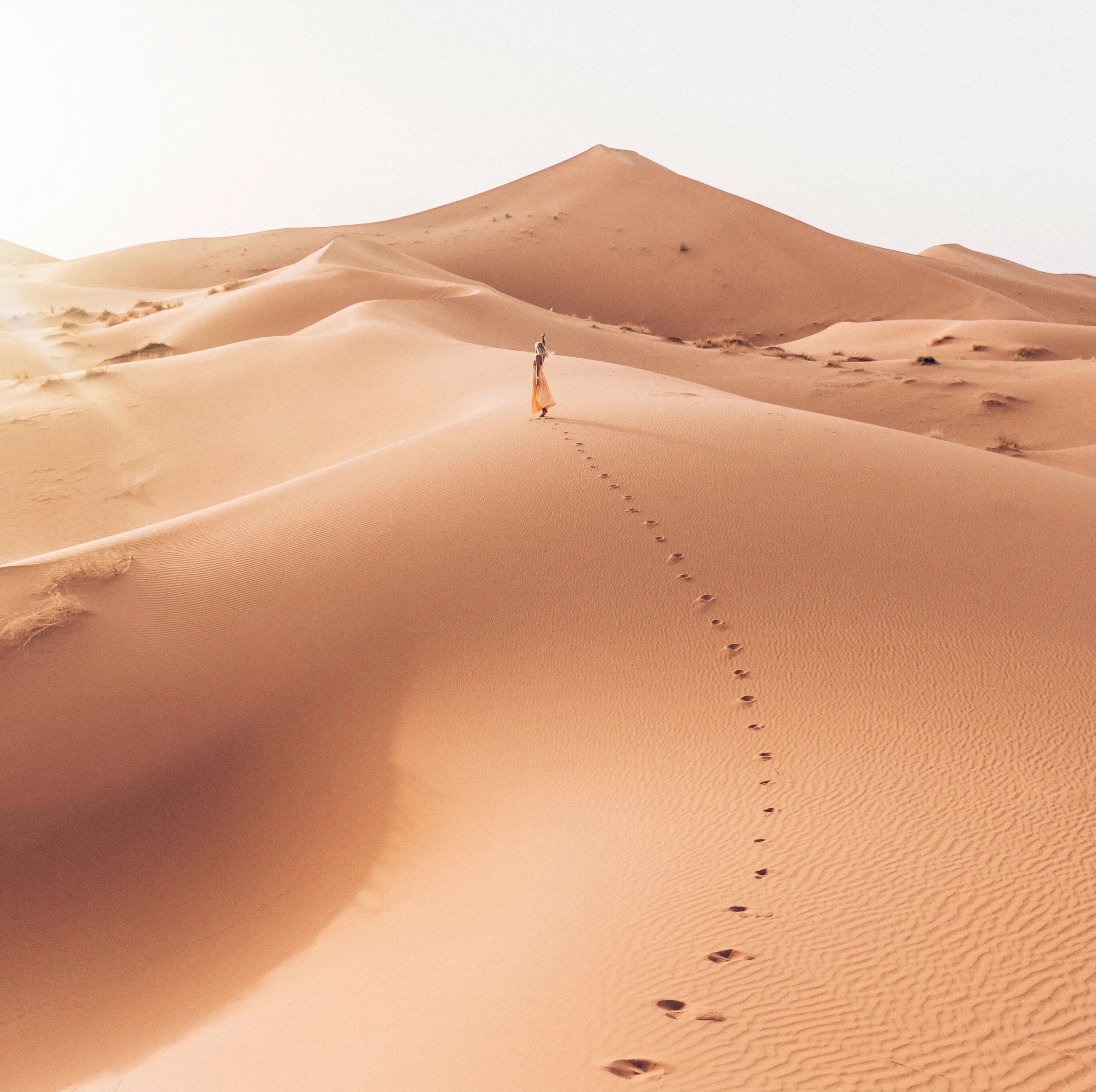 роскоши пустыни