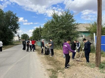 Погода александрово