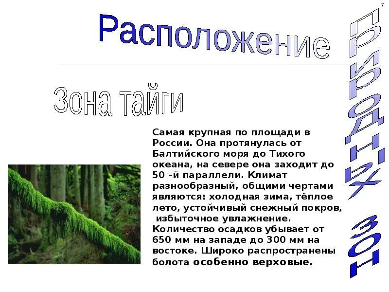 Таежная зона презентация 8 класс география. Растительность мир тайги. Тайга описание природной зоны. Проект на тему природные зоны. Презентация на тему природные зоны.