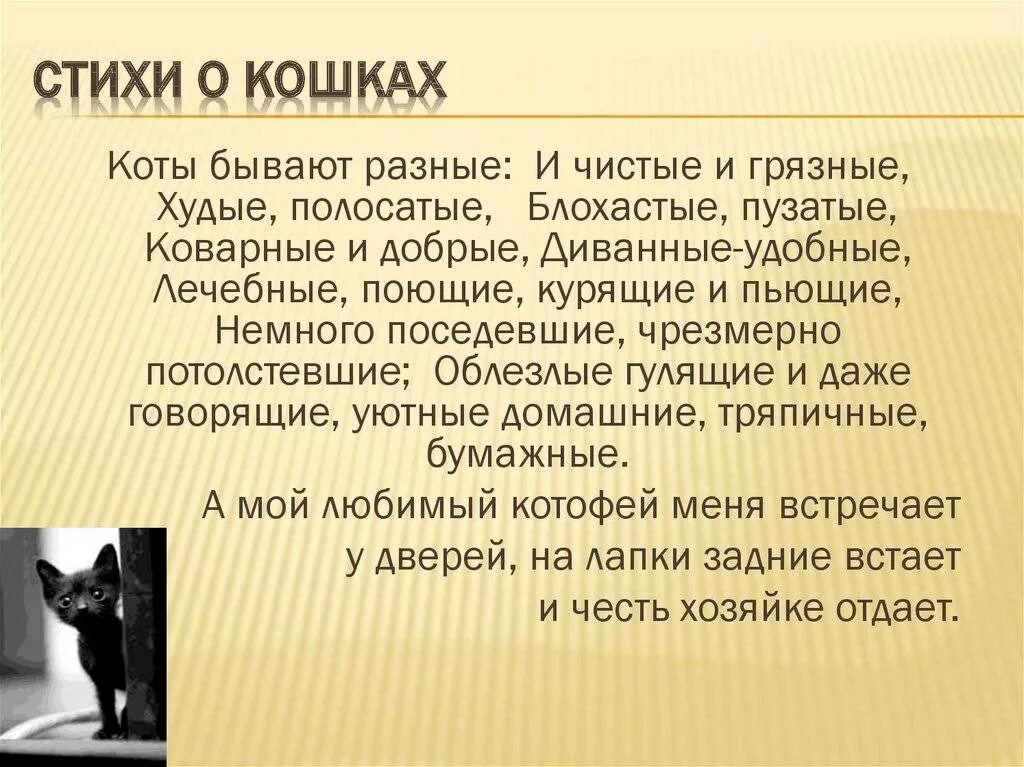 Информация о кошках и собаках. Интересные факты о кошках. стихи о котах. стихотворение про кошку. интересные стихотворение о кошках.