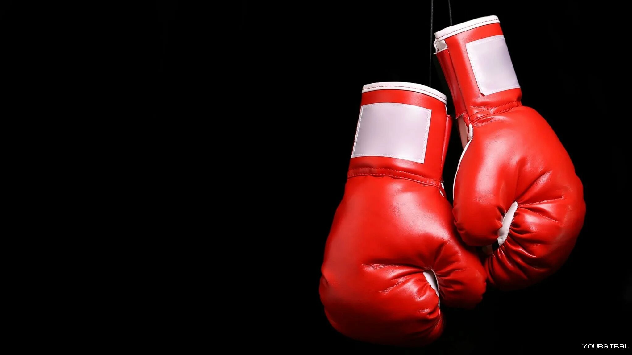 Перчатки для бокса. Боксерский ринг юфс. Background box. Боксерский ринг. Красивый боксерский ринг.