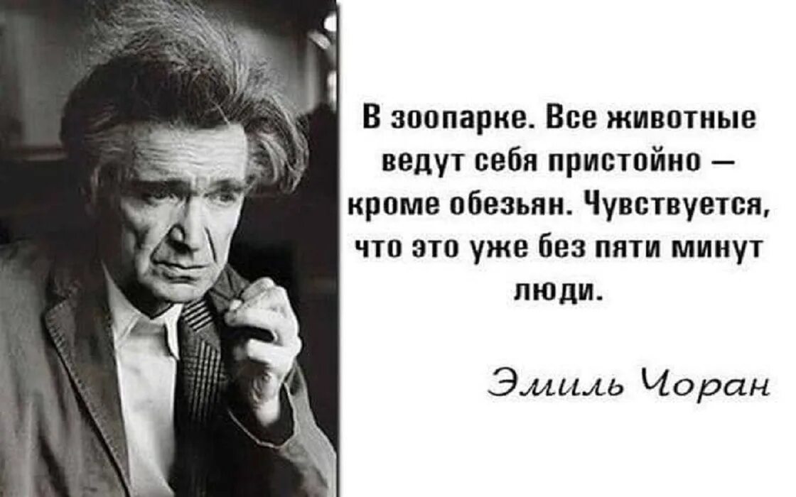 5 минут цитаты. Цитаты о животных великих людей. цитаты известных людей о животных. веселые цитаты известных людей. высказывания писателей о животных.