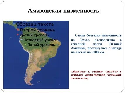 Амазонская низменность какая литосферная плита