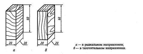 Радиальное направление