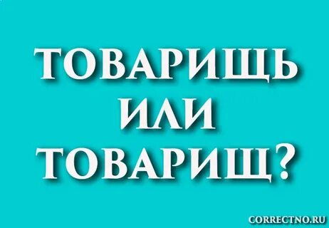 Товарищем как пишется