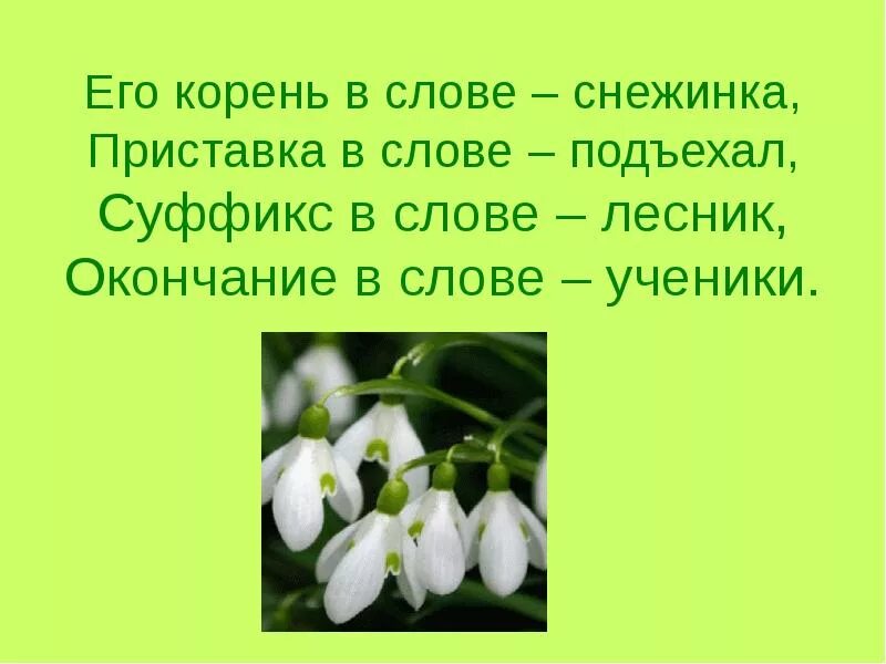 Корень в слове Лесник. Корень в слове Снежинка. Его корень в слове Снежинка приставка в слове подъехал. Лесник корень слова и суффикс.