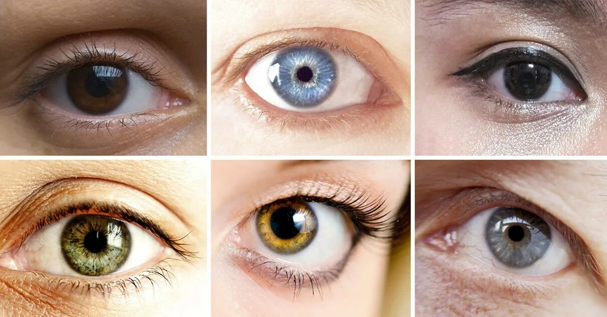 Цвет глаза зависит от пигмента. Цвет глаз. Смешанный цвет глаз. Разные оттенки глаз. Цвета глаз у человека.