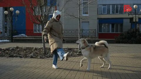 Питомца воронеж