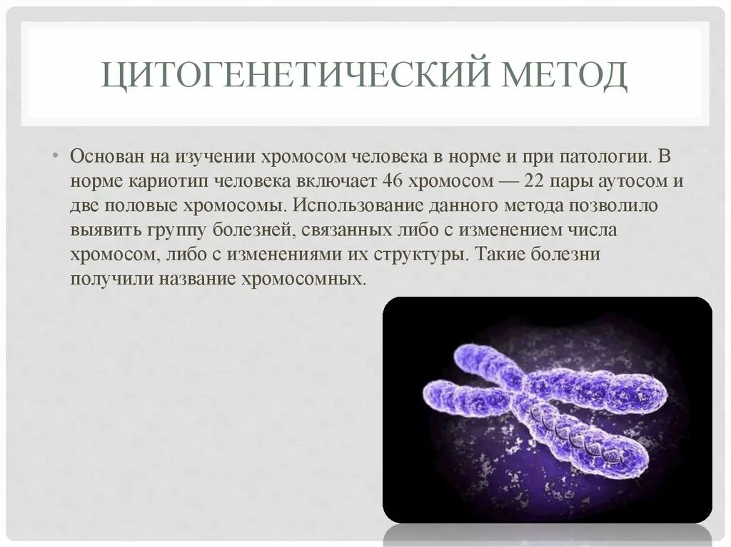 2. Цитогенетический метод. Цитогенетический метод изучения кариотипа человека. Цитогенетический метод хромосомы. Цитогенетический метод генетики.