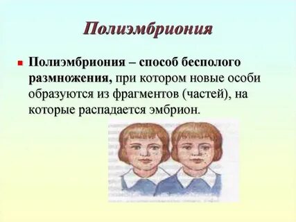 Поддержание бесполого поколения
