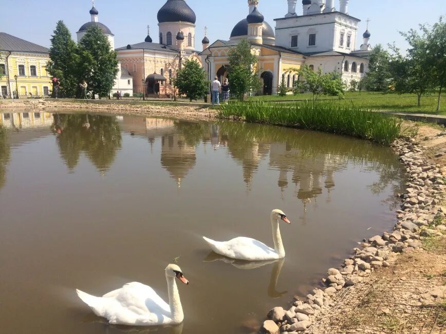 П белые пруды