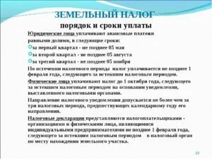 Срок уплаты земельного налога установлен. Срок уплаты земельного налога установлен