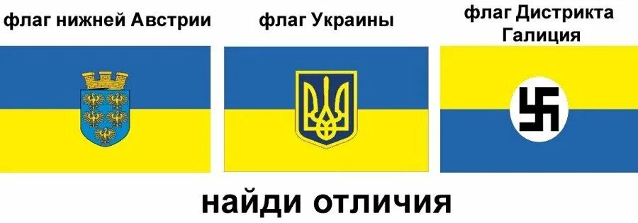 Флаг синий желтый с гербом. Флаг Украины и флаг нижней Австрии. Флаг нижней провинции Австрии. Флаг герцогства нижняя Австрия. Флаг Федеральной земли нижняя Австрия.