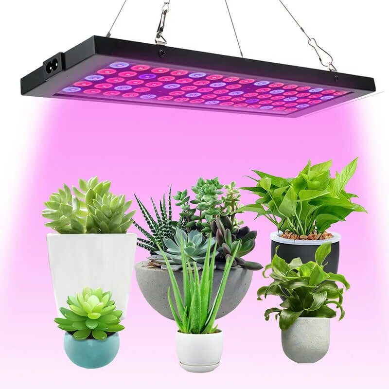 Фитолампа grow Light 40 Вт. Фитолампа led grow Light. Фитолампа SUPERGROW 216led Switch. Фитолампа Master grow 300w. Розовый свет для рассады