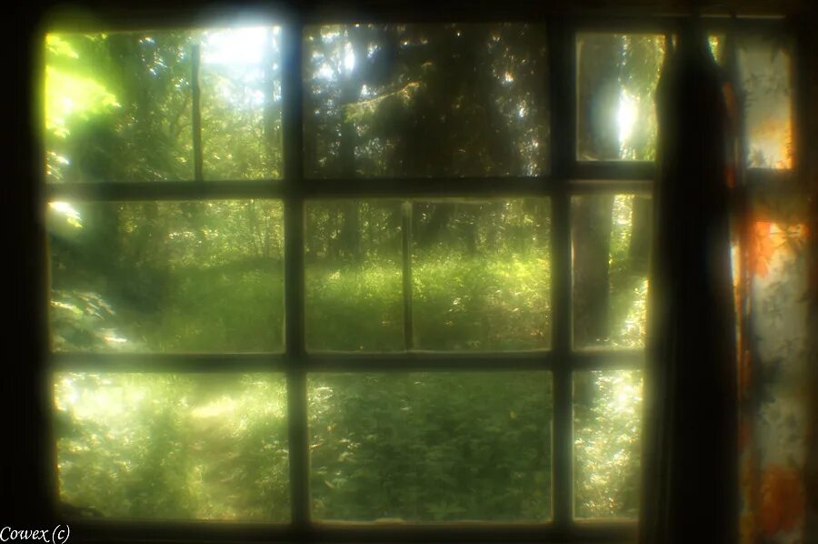 Игра в одно окно. Одно окно. Сказочное окно на зеленом. Одно окошко. Одно окно картинка.