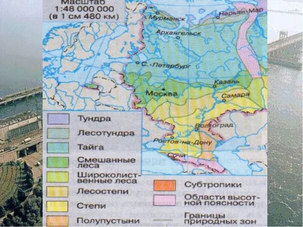 Природные зоны Восточно европейской равнины. Вотсочно европейскаярывнина природные зоны. Природные зоны Восточно европейской равнины на карте. Природные зоны европейского Юга России.