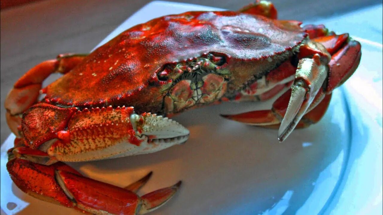 Юре крабу