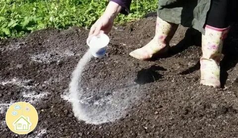Удобрения используемые весной