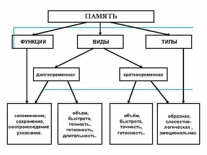 Функции и типы карт. Виды географических карт, составить таблицу. Основные функции экскурсии. Функции и типы карт. Функции экскурсии кратко.