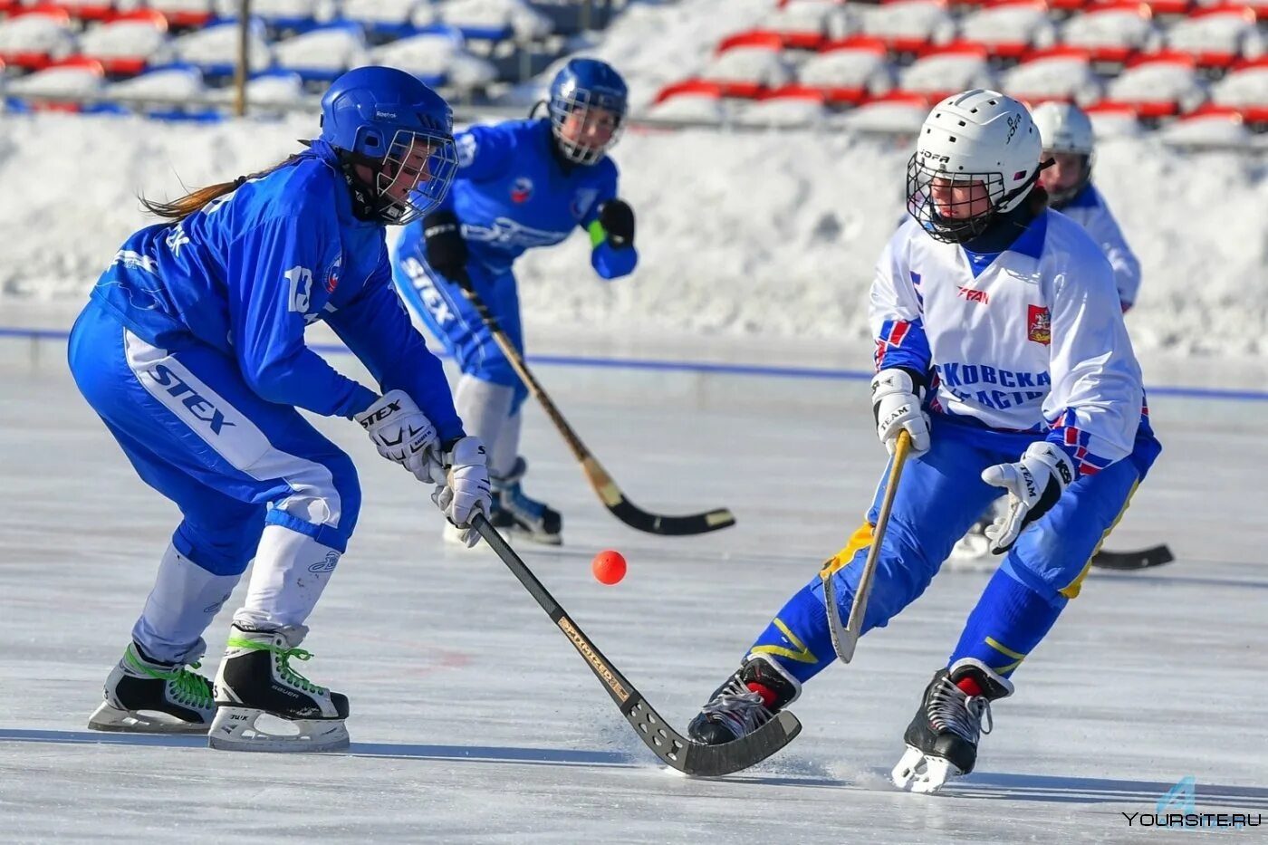 Хоккей с мячом женщины чемпионат россии