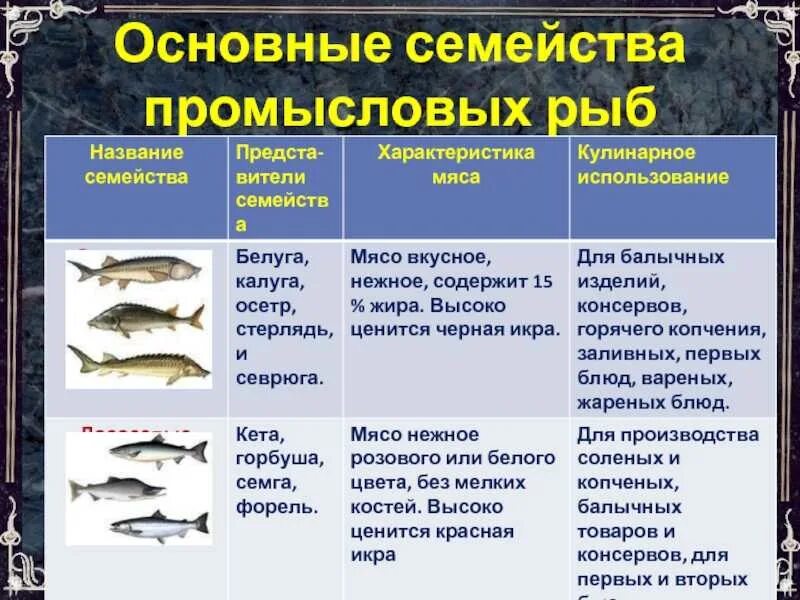 Общее название 5 видов промысловых рыб. Основные семейства промысловых рыб таблица. промысловые рыбы таблица. семейства промысловых рыб. семейства важнейших промысловых рыб.