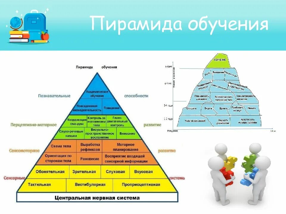 Сколько уровней развития